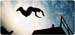 le-parkour