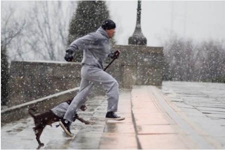 Rocky running